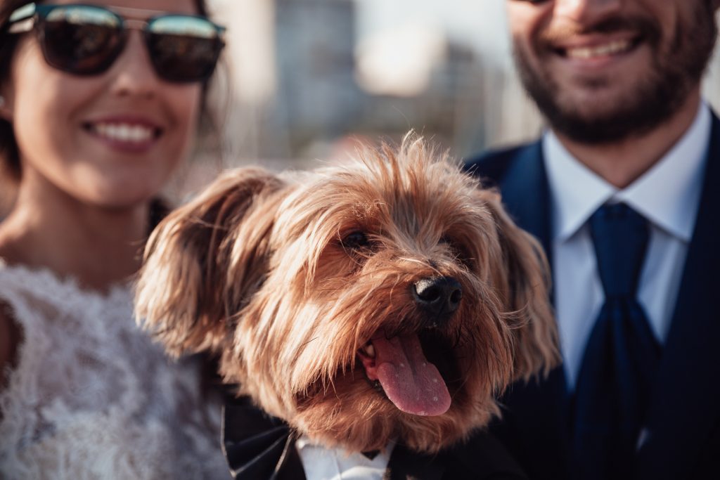 UliarteFotografia-778